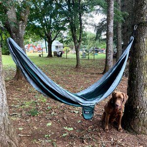 Fox Outfitters Single Green/Silver Hammock